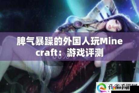 暴躁老外玩MINECRAFT 法形式先容:令人惊叹的游戏之旅