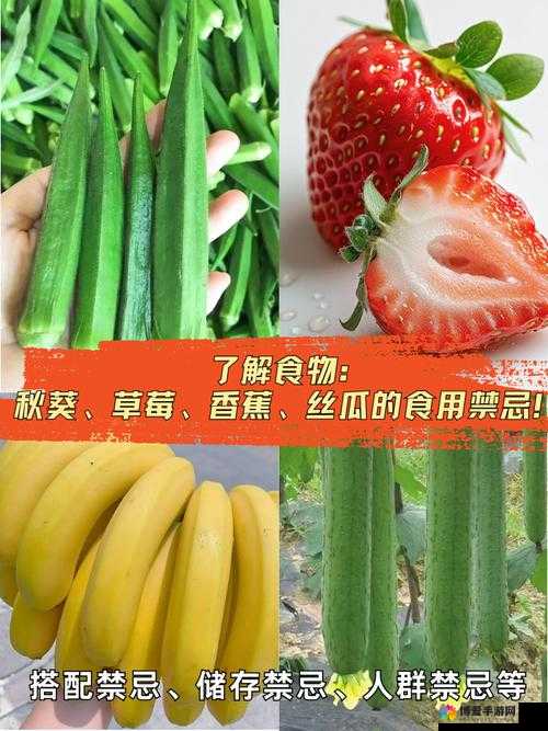 丝瓜草莓向日葵秋葵加油站:多样蔬果与能源的奇妙交汇之所