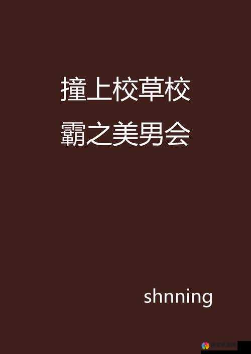 共享校霸 n 作者一粒笋之关于校霸那些不为人知的故事
