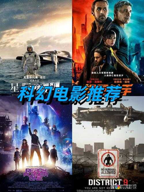 1000 部免费啪:史上最震撼的免费观影体验