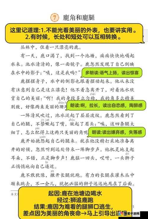 松紧重要还是水重要：一场关于重要性的思辨