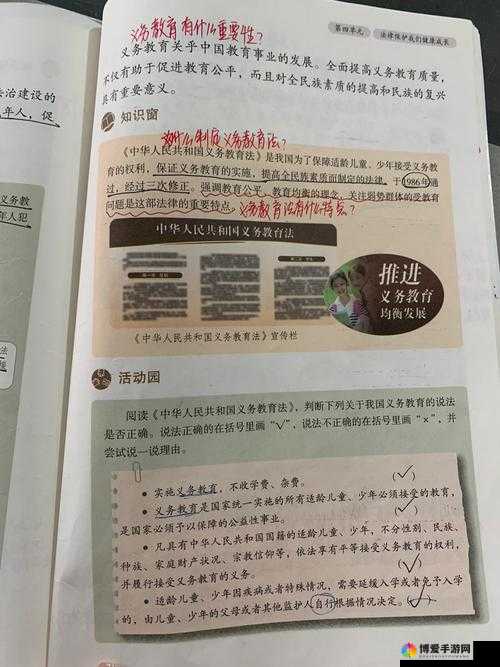 男人插女人网站：成人内容泛滥，道德与法律界限何在？