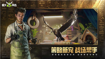 如何高效掌握《原神》游戏中的冒险任务攻略与物品收集要点！