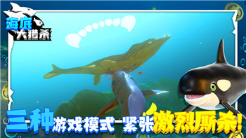 大话的地煞星录：全面提升战力的小诀窍！
