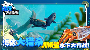 探索《原神》5.0版本卡池角色 新角色与强化角色全盘点！